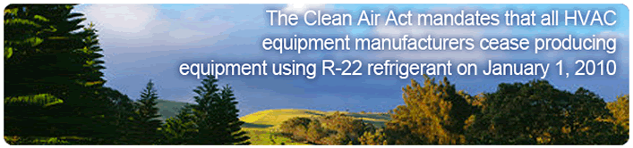 landscape of a good environment 