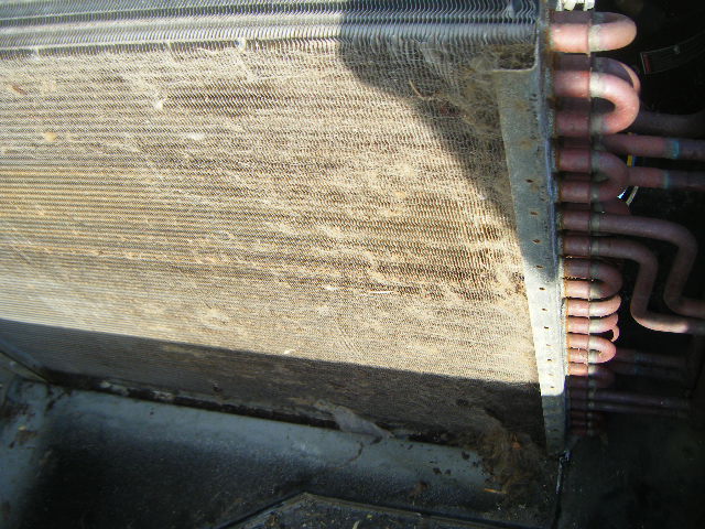 Air Conditioning Service, Energy Star Partner, Free Estimates